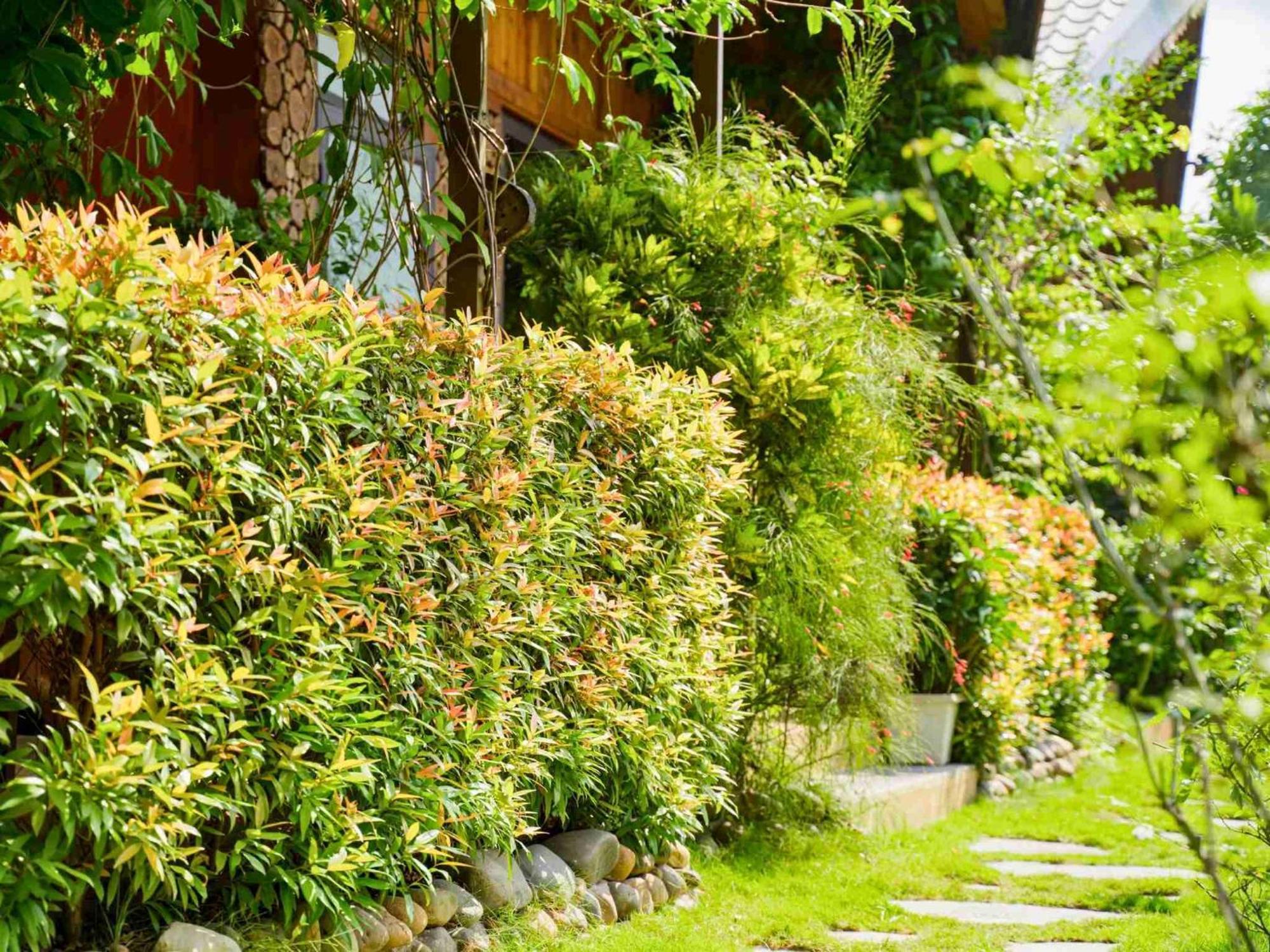 Ninh Binh Eco Garden Apartment Exterior photo